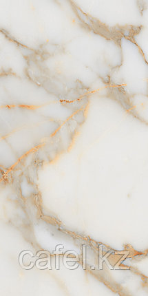 Керамогранит 120х60 Alex calacatta glossy, фото 1