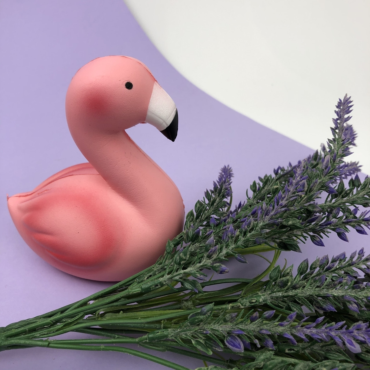 Сквиши