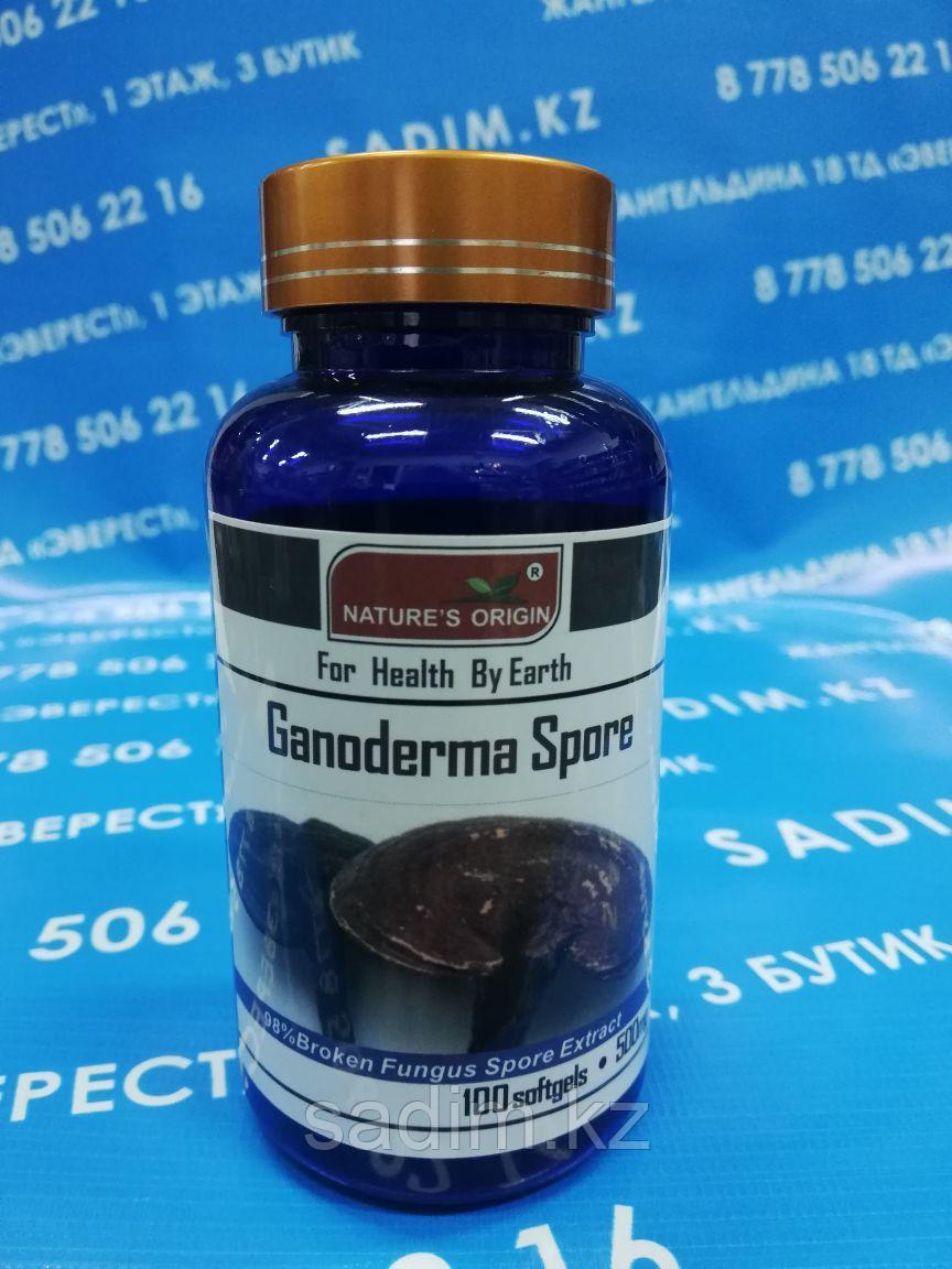 Капсулы Ганодерма - Ganoderma Spore