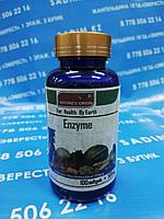 Капсулы - Enzyme ( Энзима )