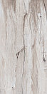 Керамогранит 120х60 Cedar Wood Light mat+glossy, фото 5
