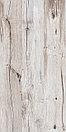 Керамогранит 120х60 Cedar Wood Light mat+glossy, фото 6