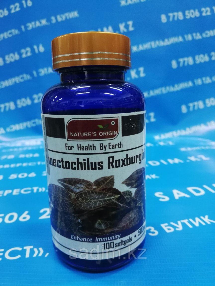 Капсулы Анектохил - Anoectochilus Roxburghii