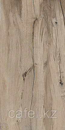 Керамогранит 120х60 Cedar Wood Natural mat+glossy, фото 2