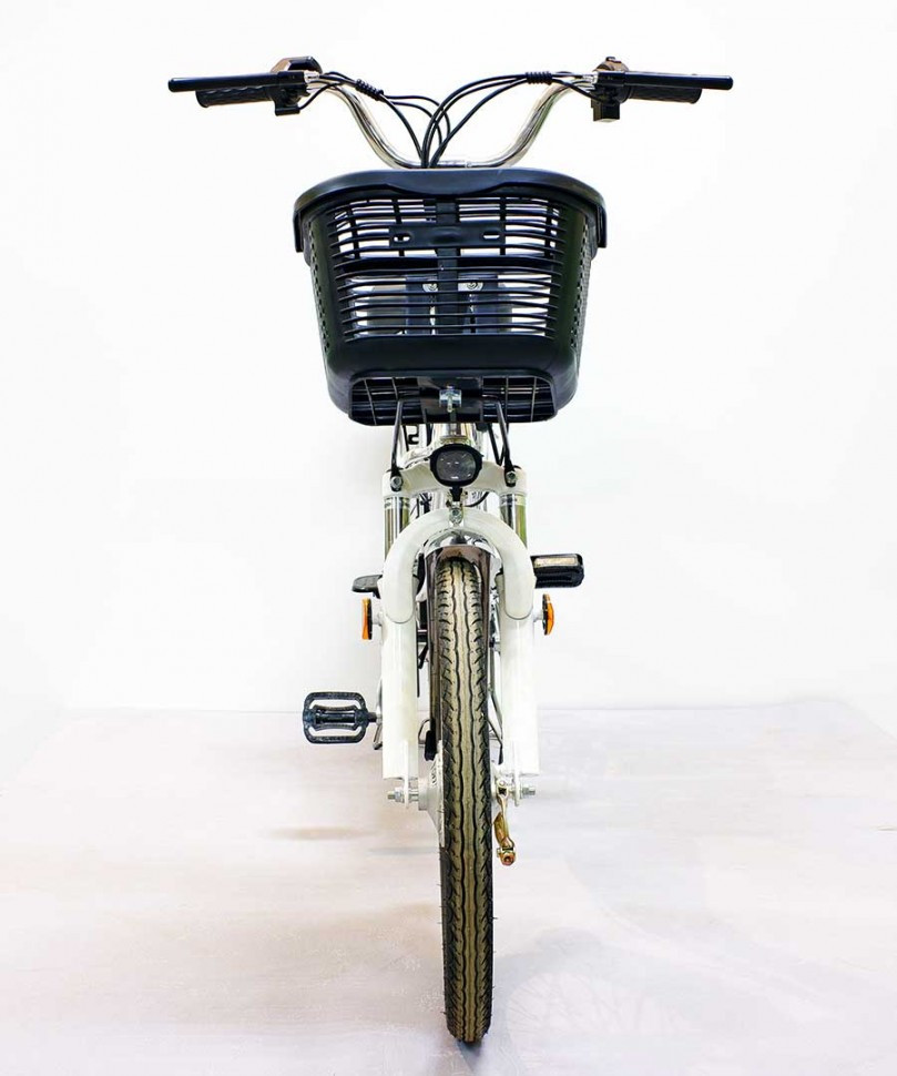 Электровелосипед GreenCamel Транк-20 V2 (R20 240W) Алюм, редукторный - фото 3 - id-p91660272