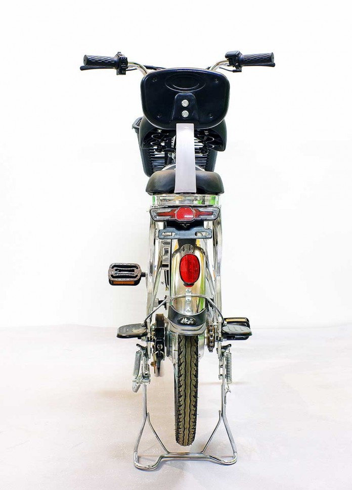 Электровелосипед GreenCamel Транк-20 V2 (R20 240W) Алюм, редукторный - фото 4 - id-p91660272