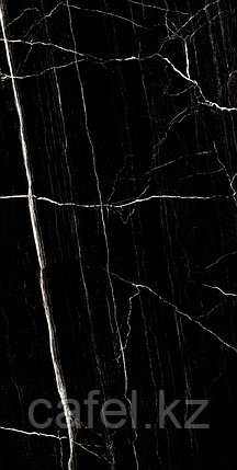 Керамогранит 120х60 Nero Marquina glossy, фото 2