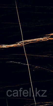 Керамогранит 120х60 Sahara Black high glossy, фото 1