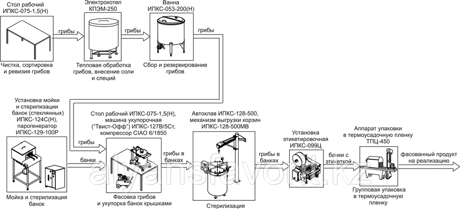 Комплект оборудования для консервирования грибов ИПКС-0609, 500 банок/ч - фото 2 - id-p91764834