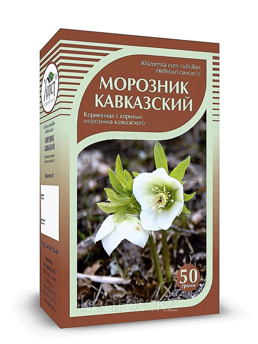 Морозник кавказский, корневища с корнями 50 гр.