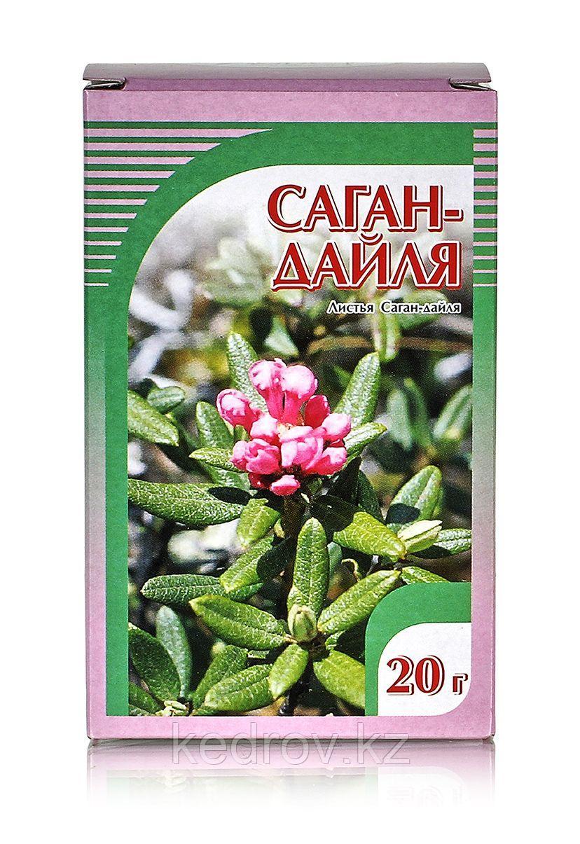 Саган дайля, побеги с листом 20г.