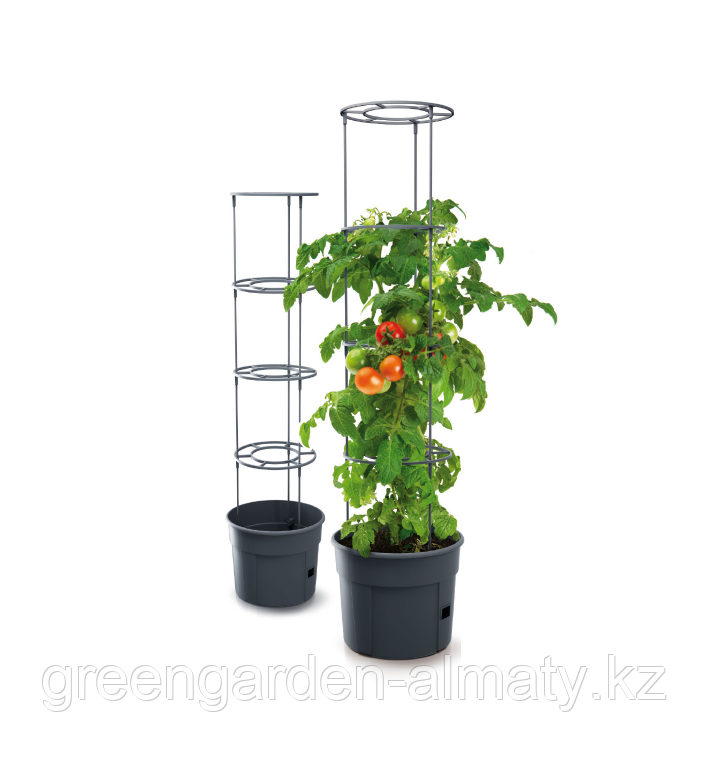 Горшок для выращивания картофеля Potato Grower 2в1 | Prosperplast, фото 1