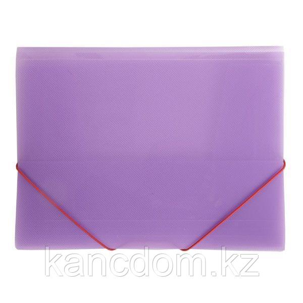 Папка пластиковая Hatber А4 400мкм на резинке полупрозрачная - Line Фиолетовая