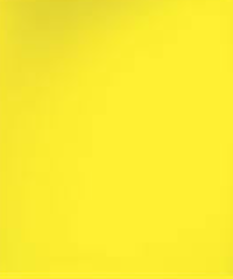 Осиный - желтый  бумажный фон в рулоне 11м Х 2,72м от Kelly Photo США 50, фото 2