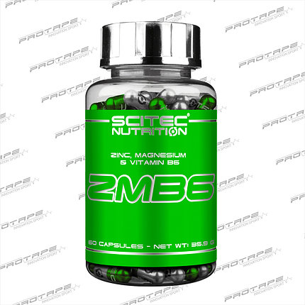 Витаминный комплекс ZMB6  60 капс. zma / Scitec Nutrition, фото 2