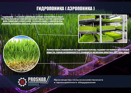 Гидропоника (Аэропоника) - МГУ - мобильная гидропонная установка, производительностью 150, 200 кг, фото 2