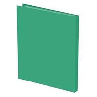 Папка с файлами, 40ф., А4, 0.5мм, BASIC, зеленый арт.255069-03