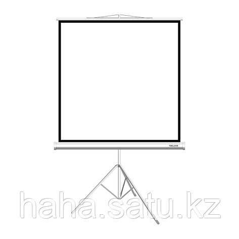 Экран на треноге Deluxe DLS-T180xW (70"х70"), Ø - 100", Раб. поверхность 172х172 см., 1:1, фото 2
