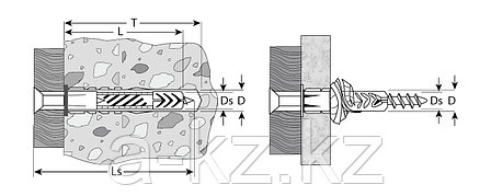 Дюбель универсальный полипропиленовый, без бортика, в комплекте с оцинкованным шурупом, 6 х 52 мм, 8 шт, ЗУБР, фото 2