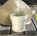 Горшок Lofly DLOF250 | Prosperplast, фото 3