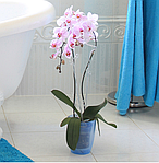 Кашпо для орхидей прозрачно-матовое Coubi DUOW160T | Prosperplast, фото 5