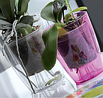 Кашпо для орхидей прозрачное Coubi DUOW130P | Prosperplast, фото 6