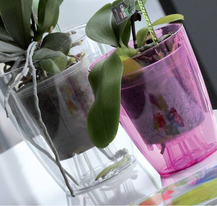 Кашпо для орхидей матовое/прозрачное Coubi DUOW160P | Prosperplast - фото 6 - id-p50888181