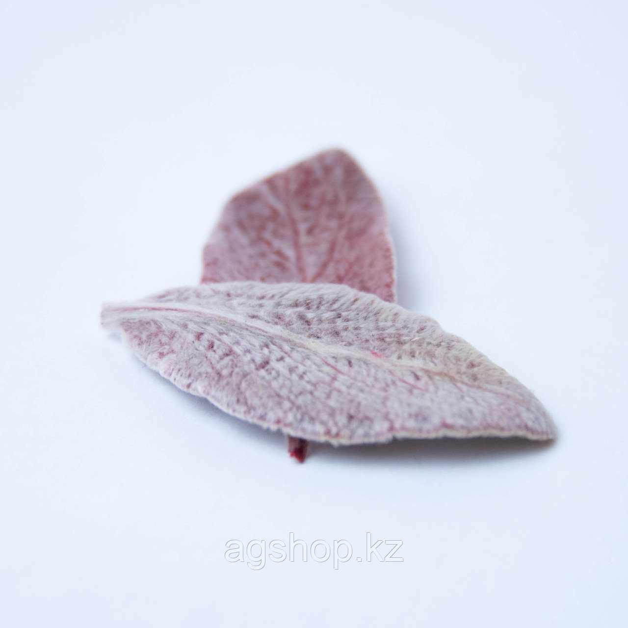 Заячьи ушки (листья чистеца) (красный); 10 листьев - фото 6 - id-p91932722
