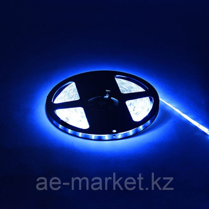 Светодиодная лента REN синяя 12V DC IP65