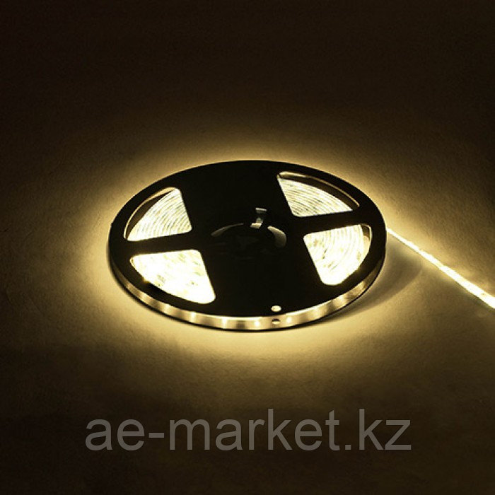 Светодиодная лента NIL 4200K 12V DC