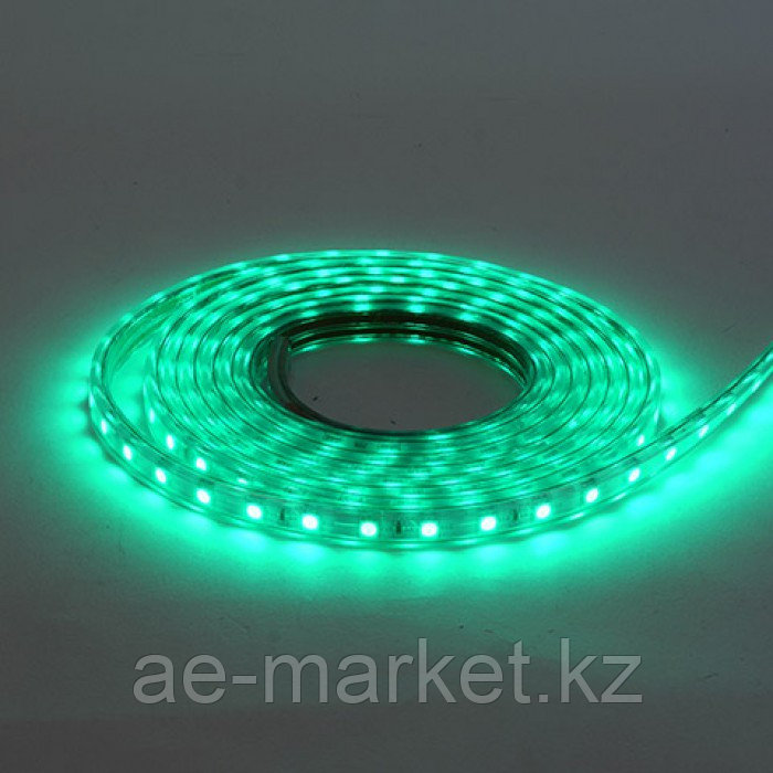 Светодиодная лента VOLGA 220-240V зеленая IP65