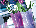 Кашпо для орхидей прозрачно-матовое Coubi DSTO125M | Prosperplast, фото 5