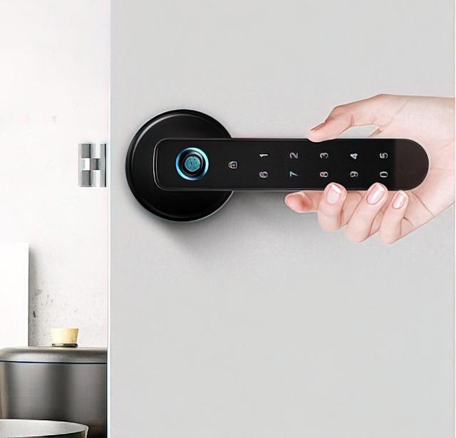 Электронная дверная ручка замок с удаленным управлением Selock Hotel Hand