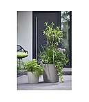 Горшки цветочные модель Coneo 242/30 | Scheurich, фото 5