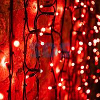 Гирлянда "Светодиодный Дождь" 2х1,5м,  постоянное свечение,  черный провод "КАУЧУК",  230 В,  диоды КРАСНЫЕ,
