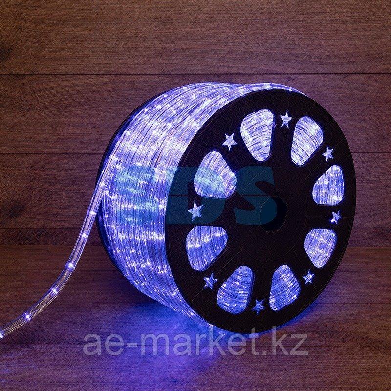 Дюралайт LED, свечение с динамикой (3W) - синий, 24 LED/м, бухта 100м - фото 1 - id-p92041143