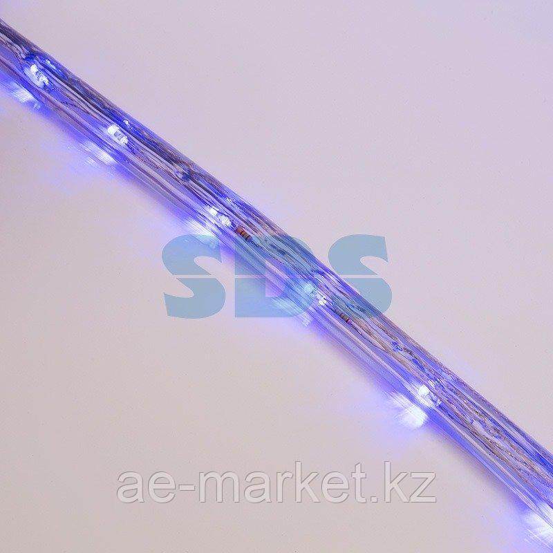 Дюралайт LED, свечение с динамикой (3W) - синий, 24 LED/м, бухта 100м - фото 4 - id-p92041143
