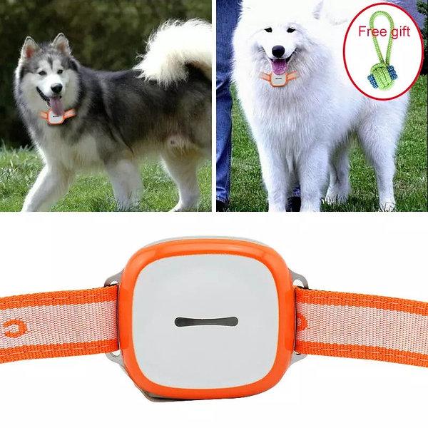 GPS Трекер (GPS Tracker) ошейник для домашних животных GT011