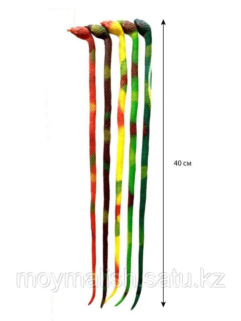 Үлкен сиськи бар порно қыз