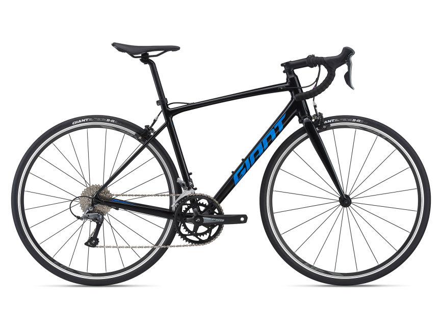 Giant Contend 3 - 2021