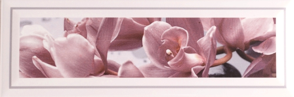 Декор Florian 2 Orchid 100x300 D10 /14