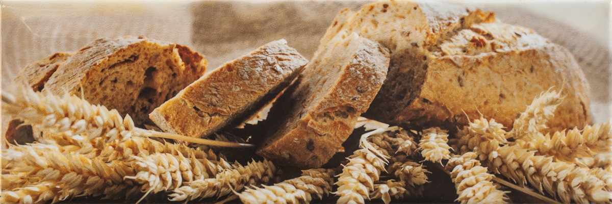 Декор Florian Bread 100x300 D10 /14