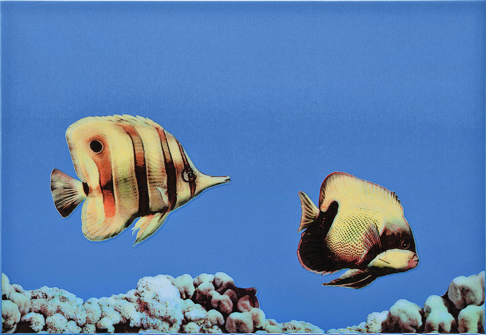 Декор Monocolor 2 Fish 275x400 D2