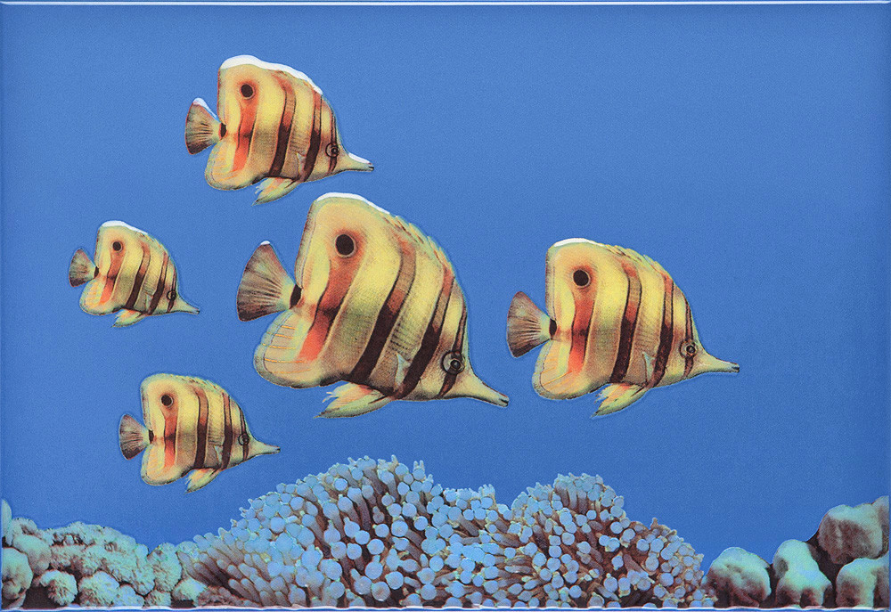 Декор Monocolor 3 Fish 275x400 D2