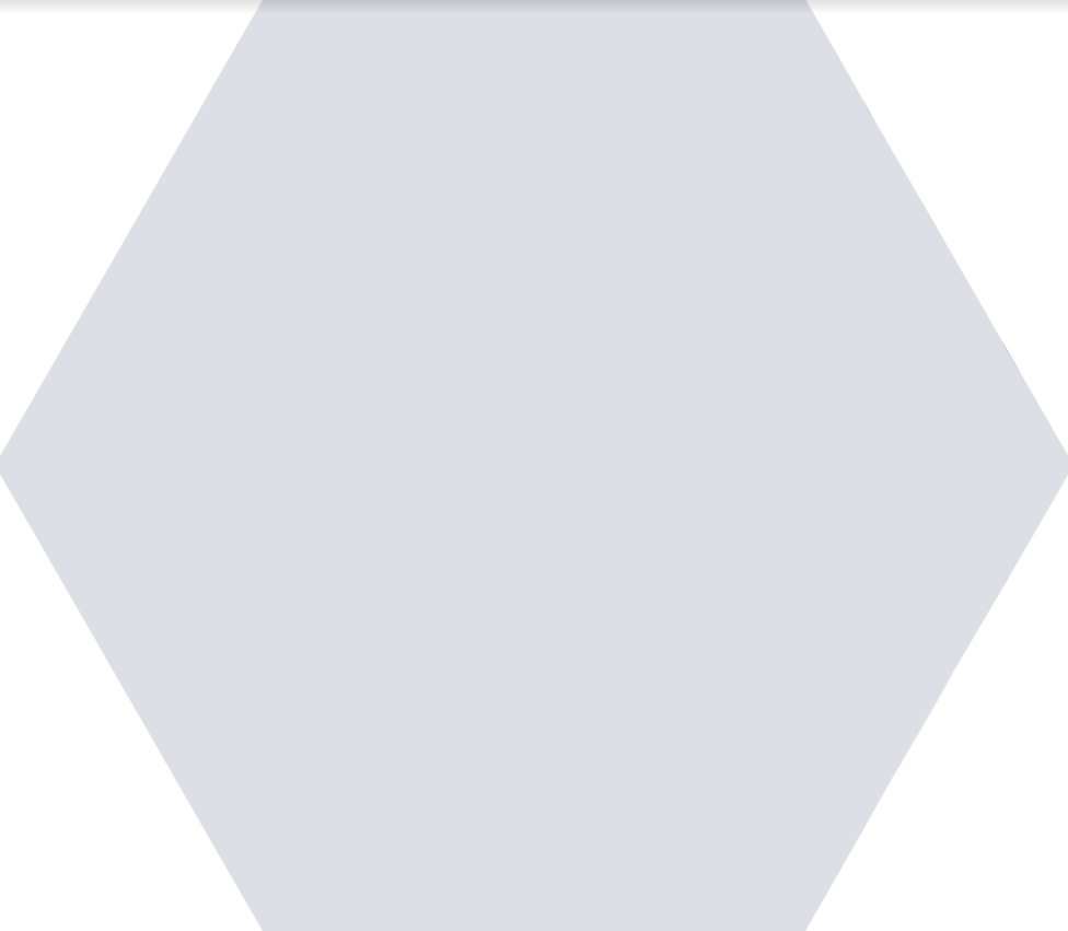 Плитка для пола глазурованная Nika W 100x115