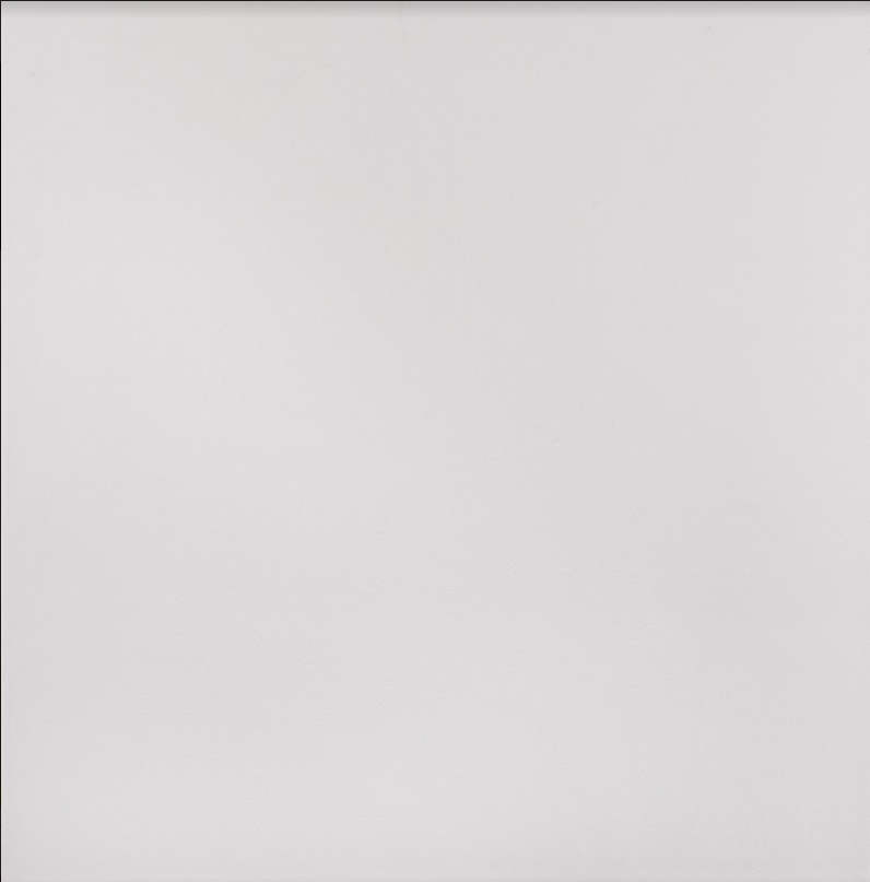 Плитка для пола глазурованная Paula W 400x400 /9