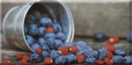 Декор Sandra Blueberry 76x152 D22 /40