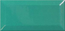 Плитка облицовочная Mono Umbria GNT 100x200