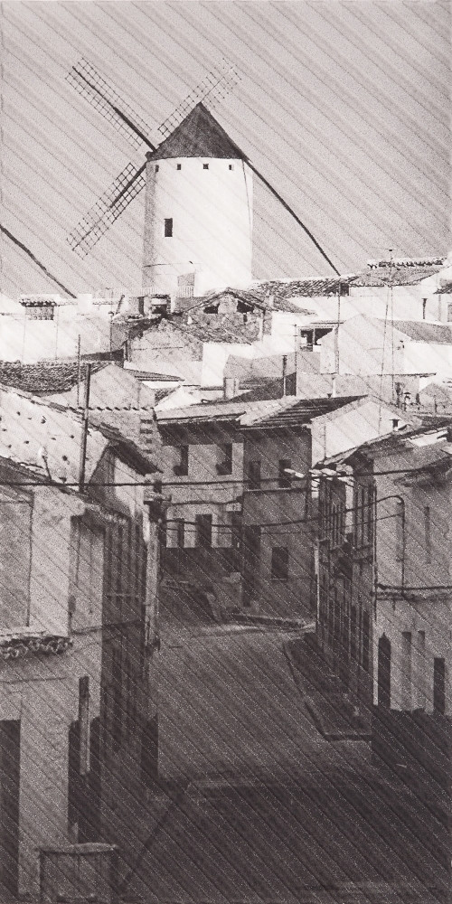 Декор Spain Mill 295x595 D6