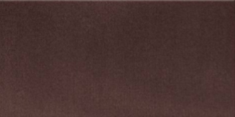 Плитка облицовочная Rada1 M 295x595